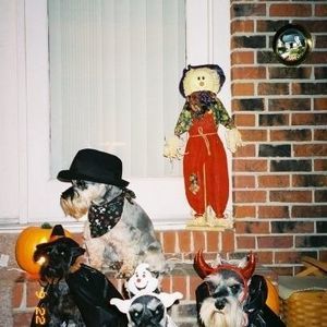 Meet your Posher, Beverly